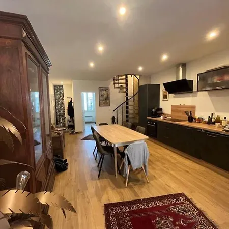 Very Nice Duplex With Garden In Bordeaux! *