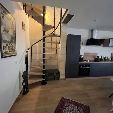 Very Nice Duplex With Garden In Bordeaux! Daire *
